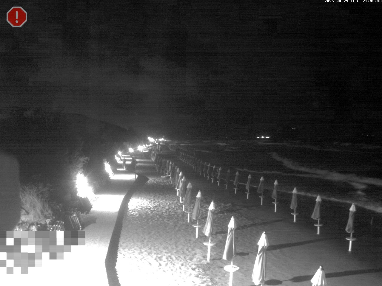 Camera Live Image